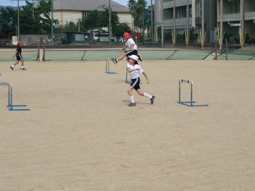 IMG_4015.JPG