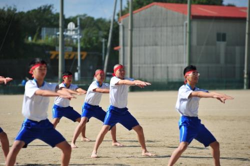 DSC_3242 (640x426).jpg